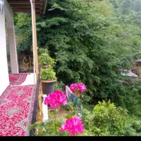 ویلا جنگلی ویلا لب رودخانه