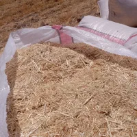 کاه جو رابر
