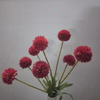 گل گلدان.گوزه.مجسمه اردو خوری