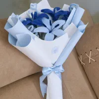گل های جاودانه پیپ پاک کنی