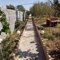 اجاره باغچه ویلا|اجارهٔ کوتاهمدت آپارتمان و سوئیت|پاکدشت, پاکدشت (مامازند)|دیوار