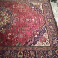 فرش طبیعی|فرش|چالدران, |دیوار