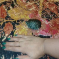 دوعدد گوش قرمز|خزنده|کرمان, |دیوار