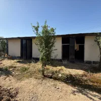 فروش ۵۰۰متر باغ