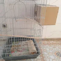 قفس|لوازم جانبی حیوانات|گرمسار, |دیوار