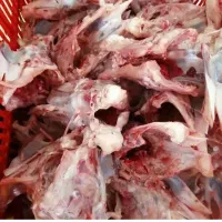 فروش ضایعات مرغ اسکلت مرغ غذای سگ و گربه