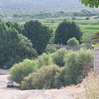 زمین باغ کهمره سرخی ماصرم|فروش زمین و ملک کلنگی|شیراز, آبیاری|دیوار