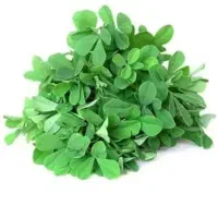 یونجه سبز و خشک به شرط