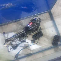 آکواریم|ماهی|قزوین, |دیوار