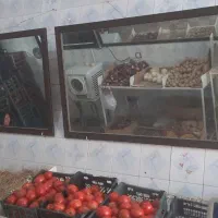 وسایل تره بار میوه فروشی سبزی فروشی|فروشگاه و مغازه|شیراز, تندگویان|دیوار