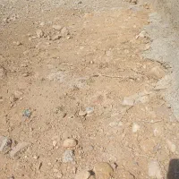 المتر14اصفهان