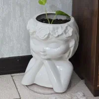 گل با گلدان