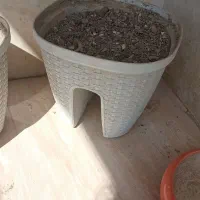 لوازم منزل|حراج|کرج, ساماندهی|دیوار