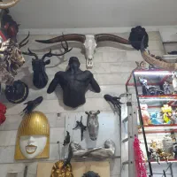 مجسمه نیم تنه دیوارکوب