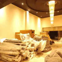 کاپوت گلگیر کوییک ۲۰۷ پژو ۴۰۵ پراید تیبا ساینا|قطعات یدکی و لوازم جانبی|پردیس, فاز ۱۱|دیوار