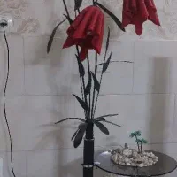 آباژور طرح لاله