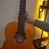 گیتار نو سالم