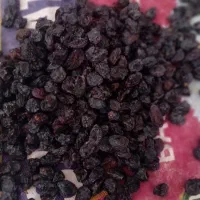 مویز انگور سیاه افتابی