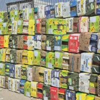 کارتن موزی|عمده‌فروشی|ری, صالح‌آباد شرقی|دیوار