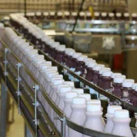 کارخانه بزرگ شیرکاکائو(کارگرآقا خانم،راننده،موزع)