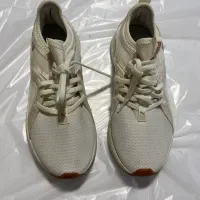 کفش اورجینال از آنلاین شاپ زیر قیمت خرید|کیف، کفش، کمربند|مشهد, ارشاد|دیوار