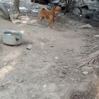 با دقت متن را بخونید