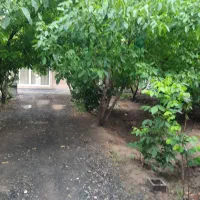 باغ ویلا اجاره ای بلوارشاهنامه|اجارهٔ کوتاهمدت ویلا و باغ|مشهد, چهاربرج|دیوار