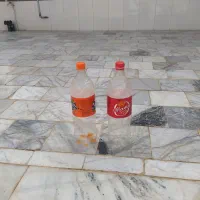 بطری نوشابه برای نهال پسته