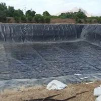 تولیدوفروش ورق ژیوممبران جهت عایق(تضمینی)