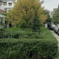 پیش-فروش-اپارتمان-سنددار
