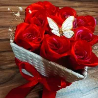 گل روبانی زیبا
