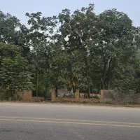 فروش-زمین-استثتایی-در-رامیان
