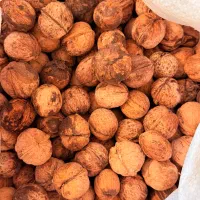 گردو بوانات|خوردنی و آشامیدنی|شیراز, قدوسی شرقی|دیوار