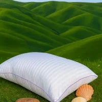 بالشت طبی