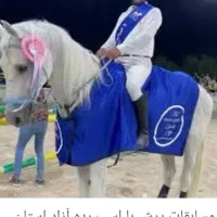 فروش انواع اسب