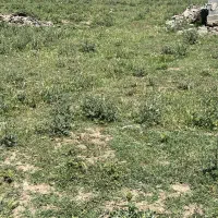 ۳۱۷ متر زمین مسکونی
