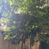 آپارتمان-170متری-22بهمن-رهن-کامل