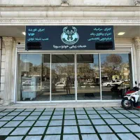 خدمات زیبایی خودرو