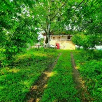 زمین سندار تفکیک شده در ماکلوان|فروش زمین و ملک کلنگی|ماکلوان, |دیوار