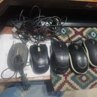 ماوس