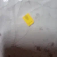 فروش سیم کارت بی نام