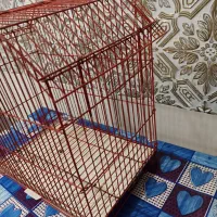 قفس|لوازم جانبی حیوانات|رامهرمز, |دیوار