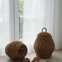 فریم و سبد بافی
