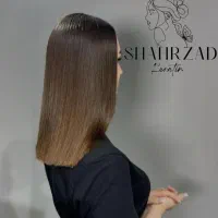 نیازمند مدل پروتئین تراپی