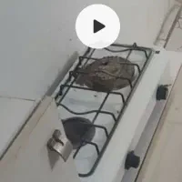 رهن و اجاره ماهیانه سوییت آپارتمان