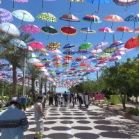 تور هوایی 5 روز کیش|تور و چارتر|شیراز, زرهی|دیوار