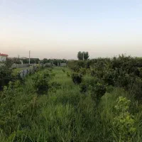 زمین-باغی-داخل-بافت-با-سند-کامل
