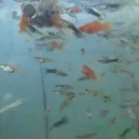 گوپی و دم شمشیری|ماهی|اهواز, لشکرآباد|دیوار