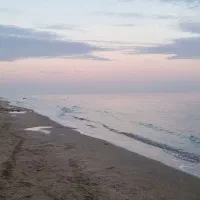 استخدام مشاور املاک