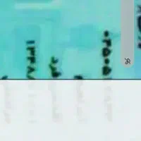 یک کیف کوچک پیداشده کارت ملی